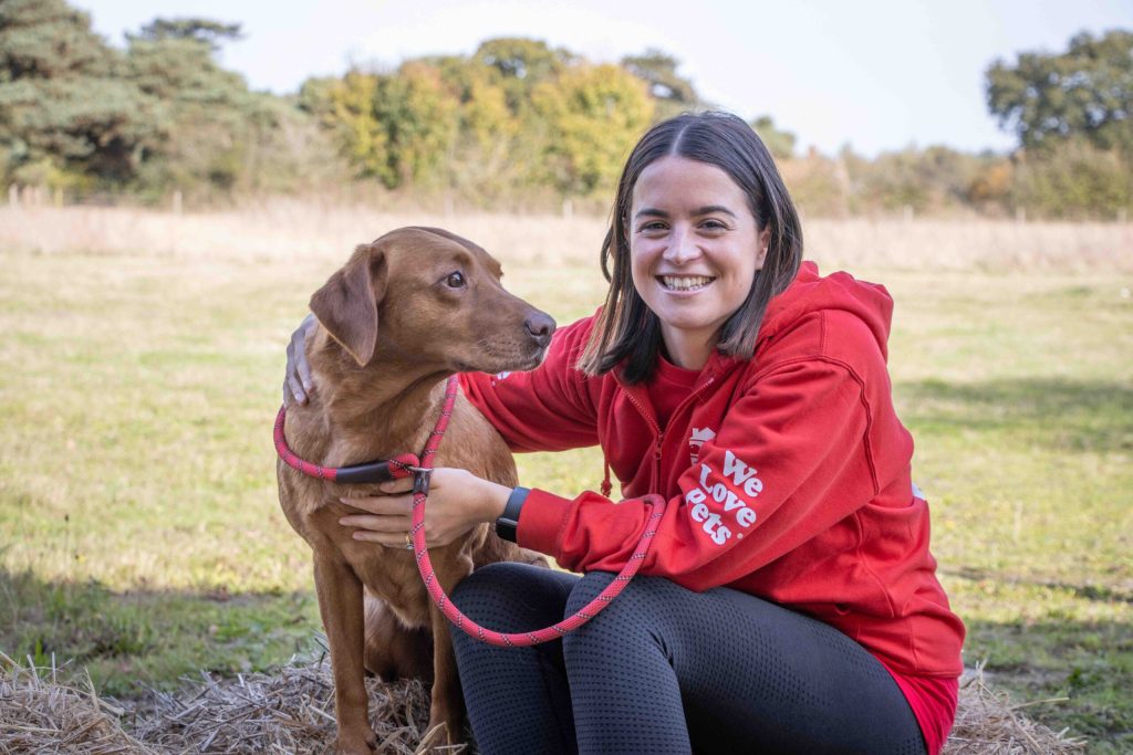 Local Dog Walker – A Complete Guide to Professional and Caring Pet Walking Services Local dog walker